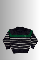 Boys Sweat Shirt
